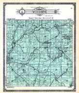 Woodbine Township, Jo Daviess County 1913